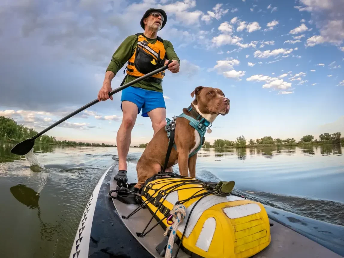 Senior man paddle boarding with dog