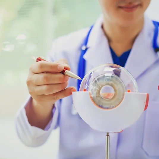 doctor pointing to a replica eye on his desk